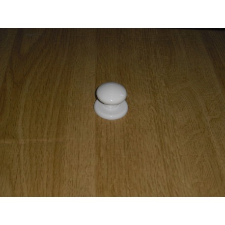 pomo bianco in plastica d.30 con rosetta 44370