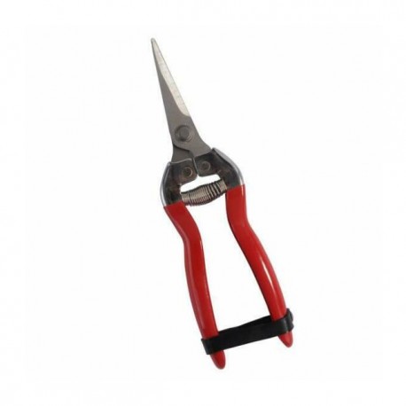 Forbice da uva 190 lame inox Il campo 09173 317412