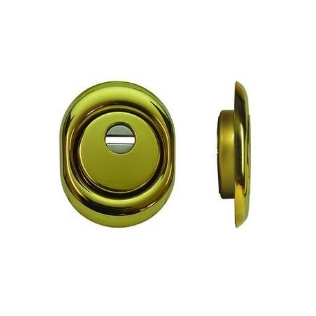 DEFENDER DISEC MONOLITO OTTONE PVD A VITE PER CILINDRO EUROPEO H 20 317528