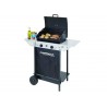 BARBECUE A GAS CON 2 BRUCIATORI "EXPERT 100 L+ROCKY" 56991