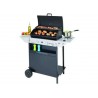 BARBECUE A GAS CON 2 BRUCIATORI E FORNELLO "XPERT 200 LS ROCKY" 19118