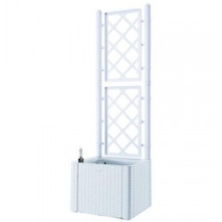 FIORIERA NATURAL DELUXE BIANCA QUADRA CON SPALLIERA 383141