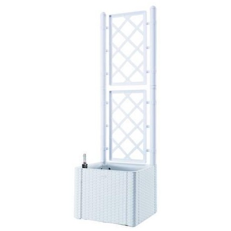 FIORIERA NATURAL DELUXE BIANCA QUADRA CON SPALLIERA 383141