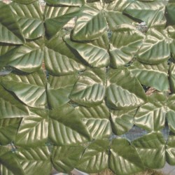 ARELLA SEMPREVERDE "LAURO LIGHT" 8532048