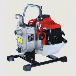 MOTOPOMPA AUTOADESCANTE QGZ25-30N 5918009