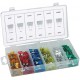 CASSETTE LIONS ASSORTIMENTO FUSIBILI PZ.120 FH790 0488T