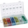 CASSETTE LIONS ASSORTIMENTO FUSIBILI PZ.120 FH790 0488T